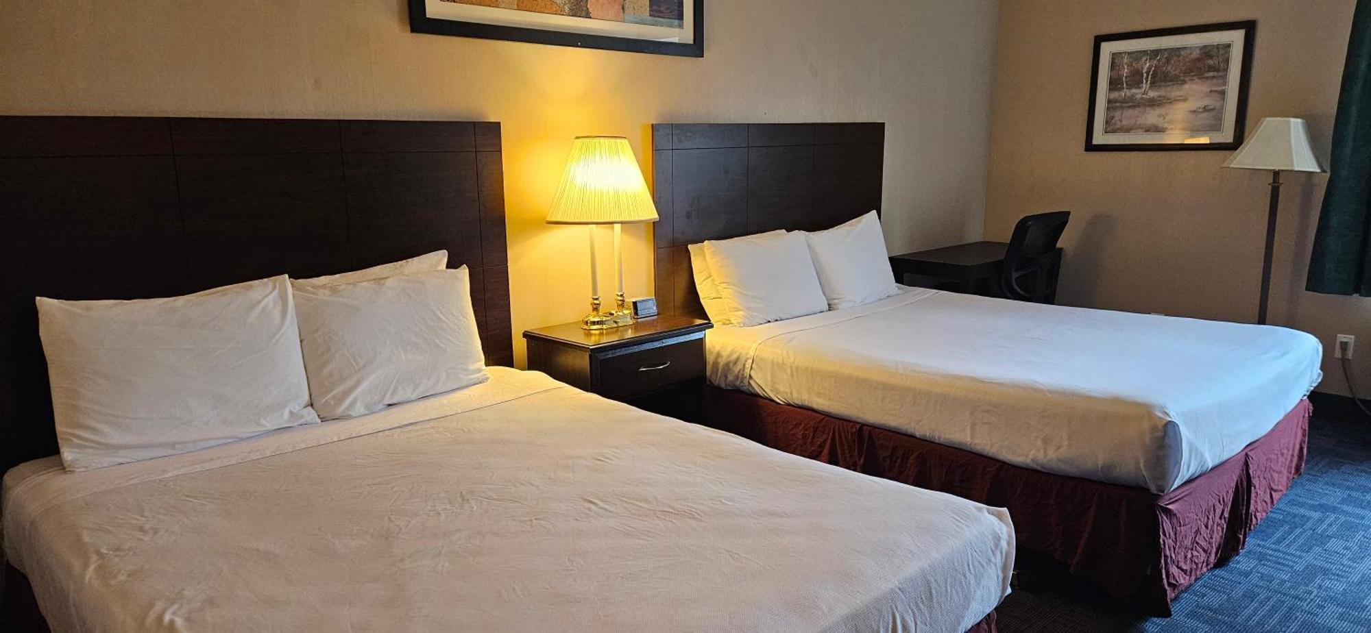 Bellis Inn 贝灵厄姆 外观 照片