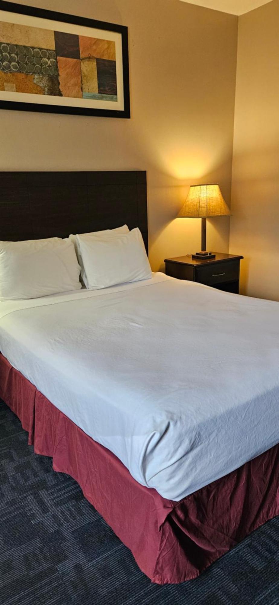Bellis Inn 贝灵厄姆 外观 照片